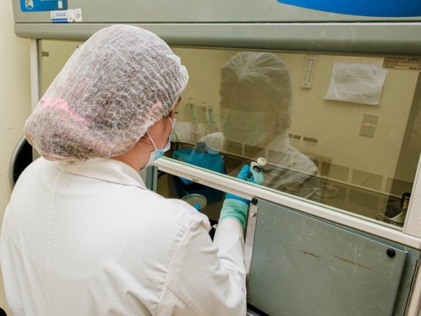 Ensayos Microbiológicos en Envases y Materiales