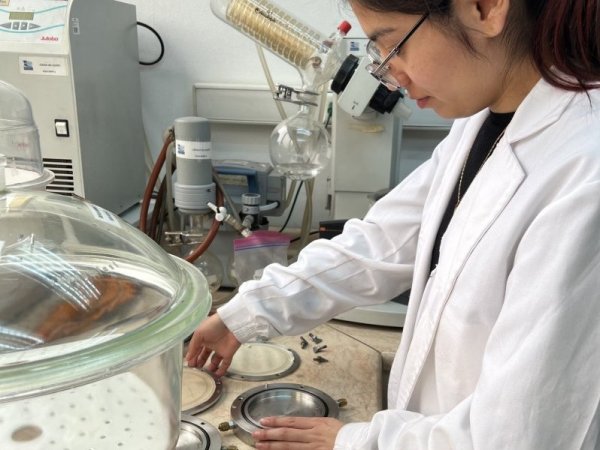 Caracterización Funcional, Desempeño y Vida Útil