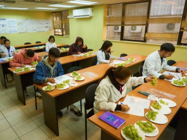 Análisis Sensorial de Envases