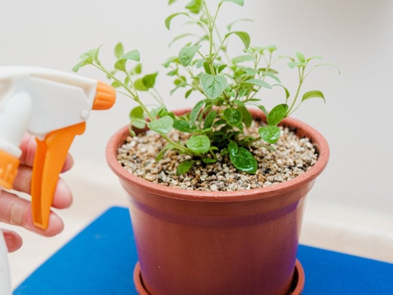 Asesorías Ambientales y Economía Circular