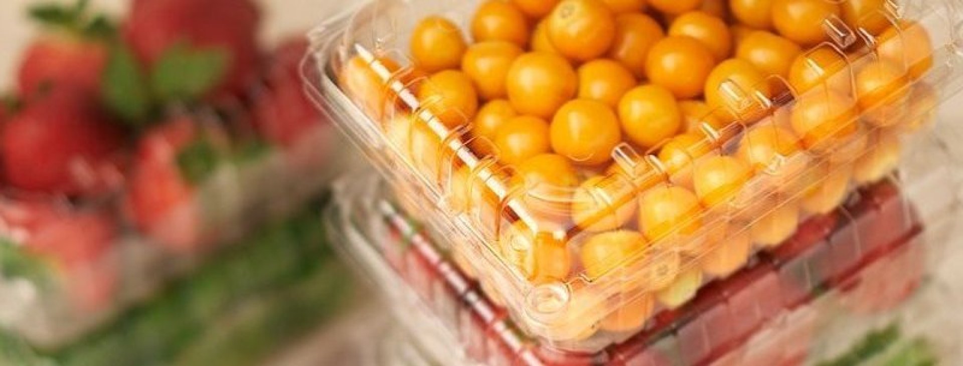 Técnicas para la Identificación y Selección de Envases Plásticos para Alimentos