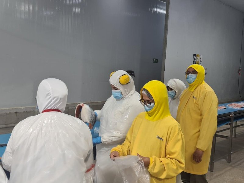 Desarrollo de un envase activo para alargar la vida útil de salmón fresco refrigerado