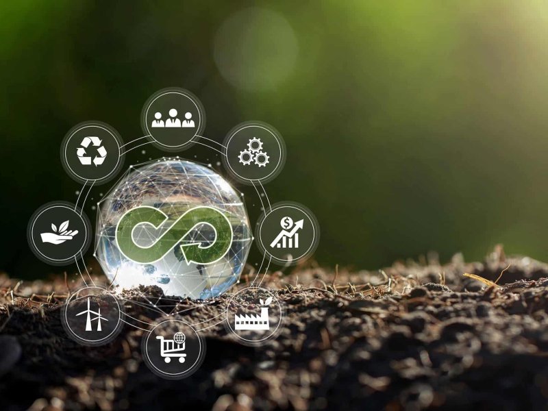 La anhelada Economía Circular perfecta