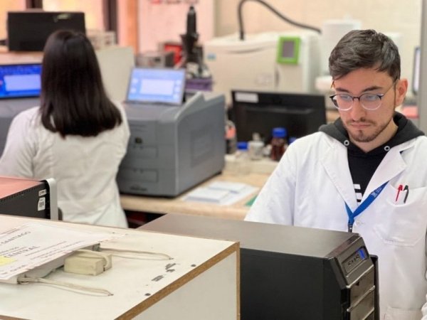 Líneas de Investigación