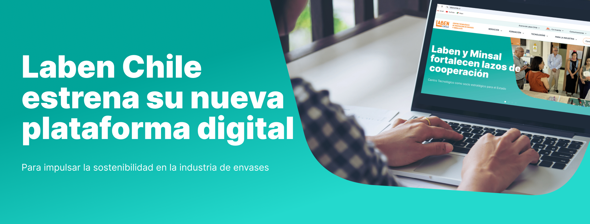 Nuevo sitio web de Laben Chile